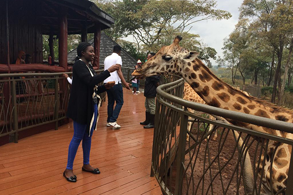 Nairobi National Park, Elephant Orphanage, Giraffe Center, and Kazuri Beads Company day tour